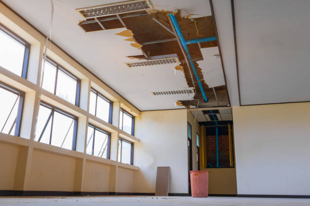 Carpet water damage restoration in Parkside, PA