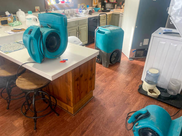 Best Flood damage cleanup  in Rkside, PA