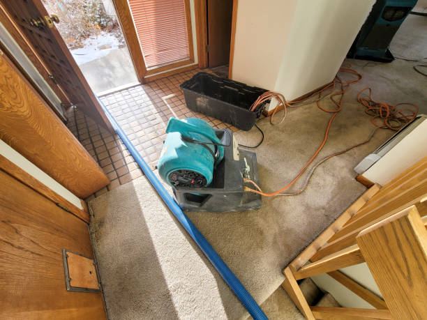 Sewage cleanup and water damage restoration in Parkside, PA