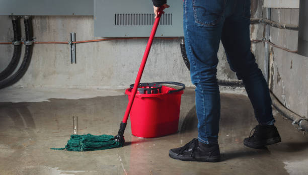 Best Basement water damage restoration  in Rkside, PA