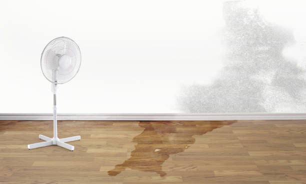 Reliable Parkside, PA Water damage restoration Solutions