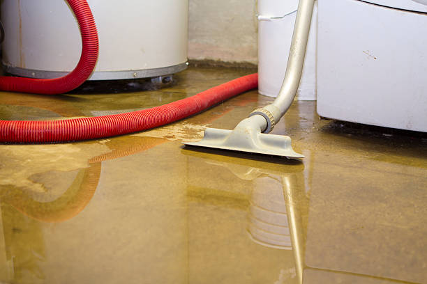 Best Professional water damage repair  in Rkside, PA