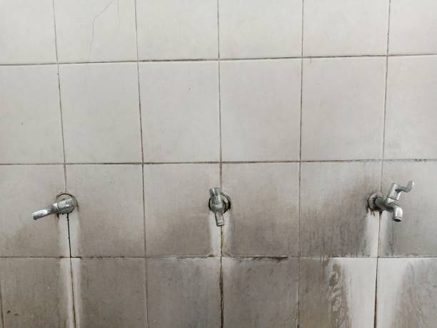Best Water damage restoration experts  in Rkside, PA